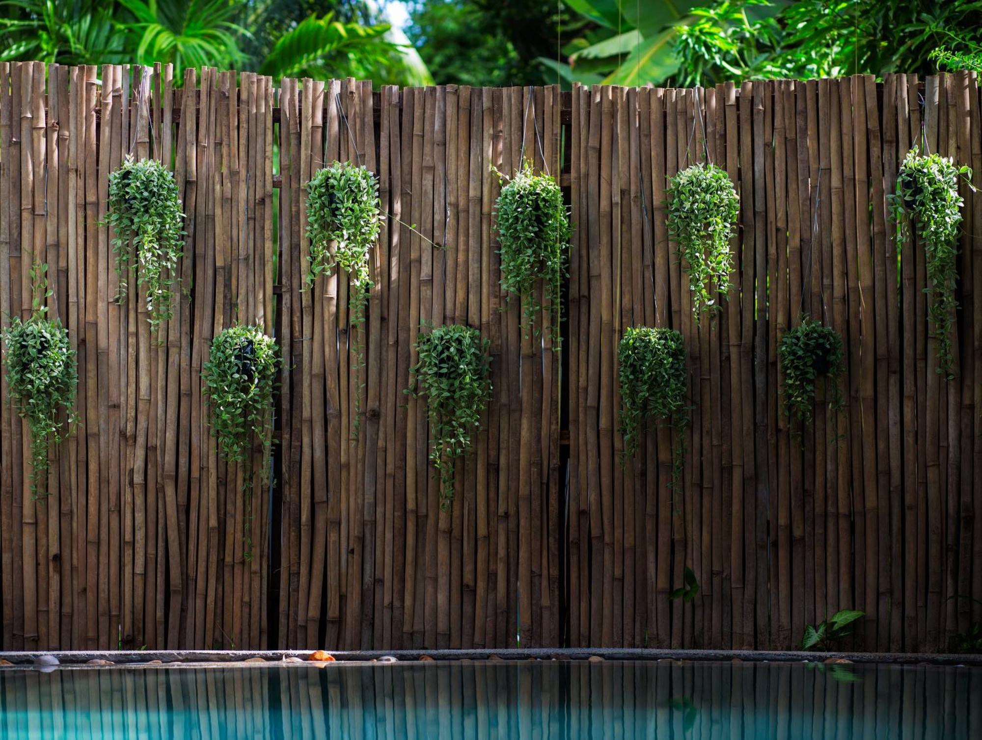 Apsara Suorkear Villa เสียมราฐ ภายนอก รูปภาพ